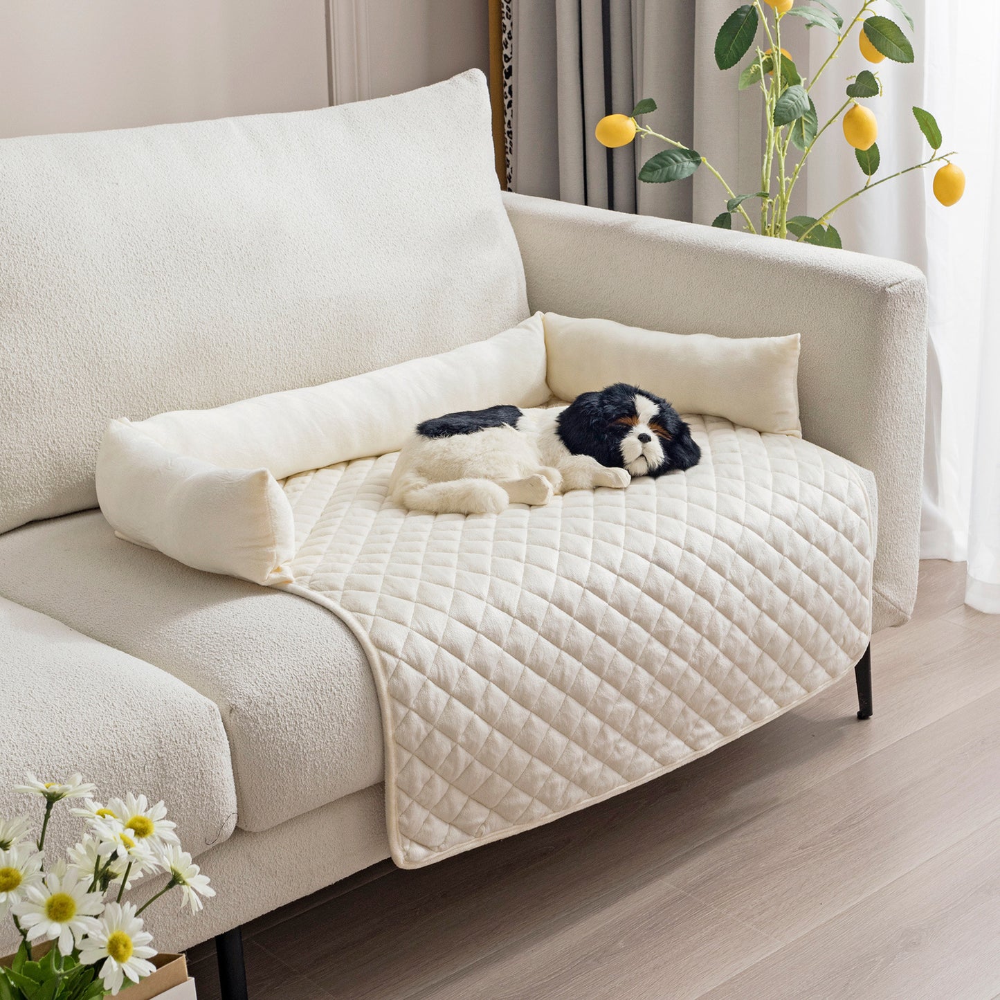 Wensy - Sofabett für Hunde