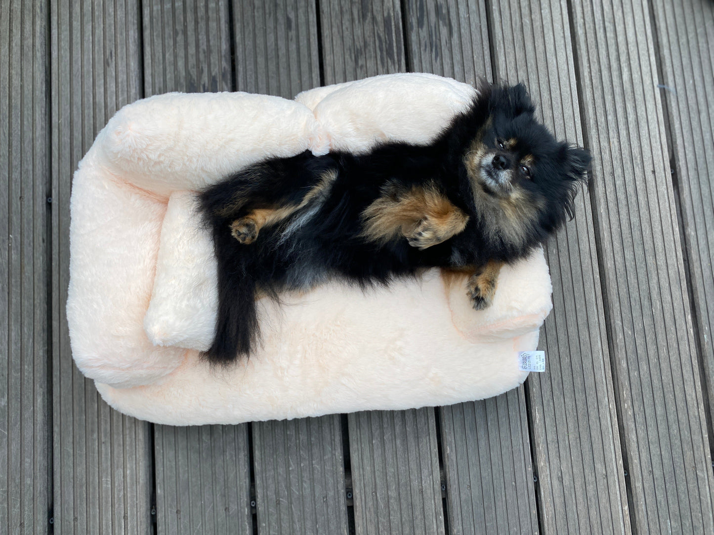 Wensy Haustiersofa - zum Relaxen für die Vierbeiner