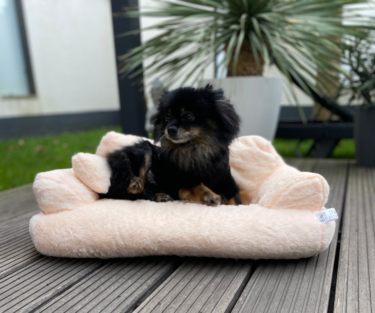 Wensy Haustiersofa - zum Relaxen für die Vierbeiner