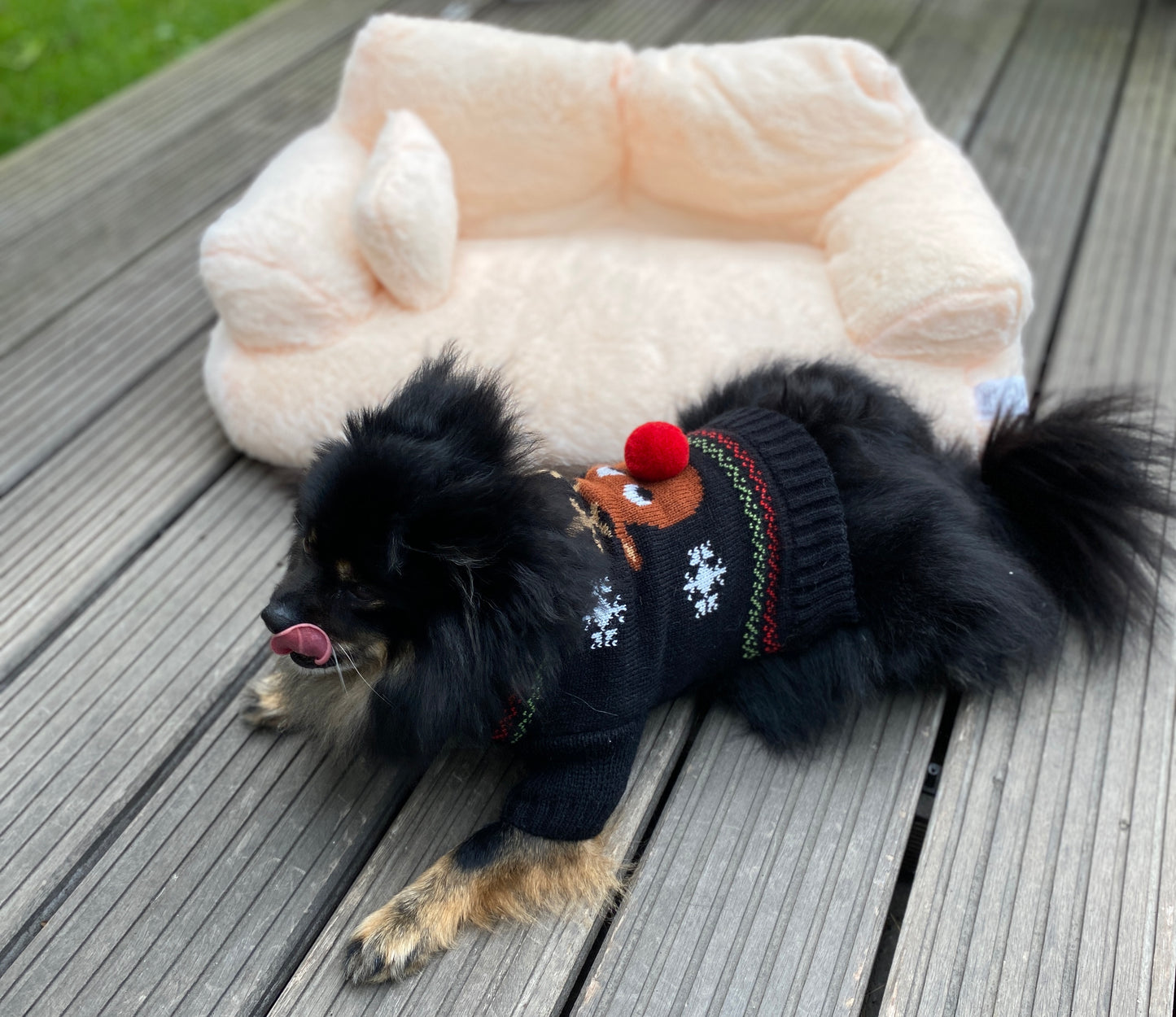 Wensy Haustiersofa - zum Relaxen für die Vierbeiner