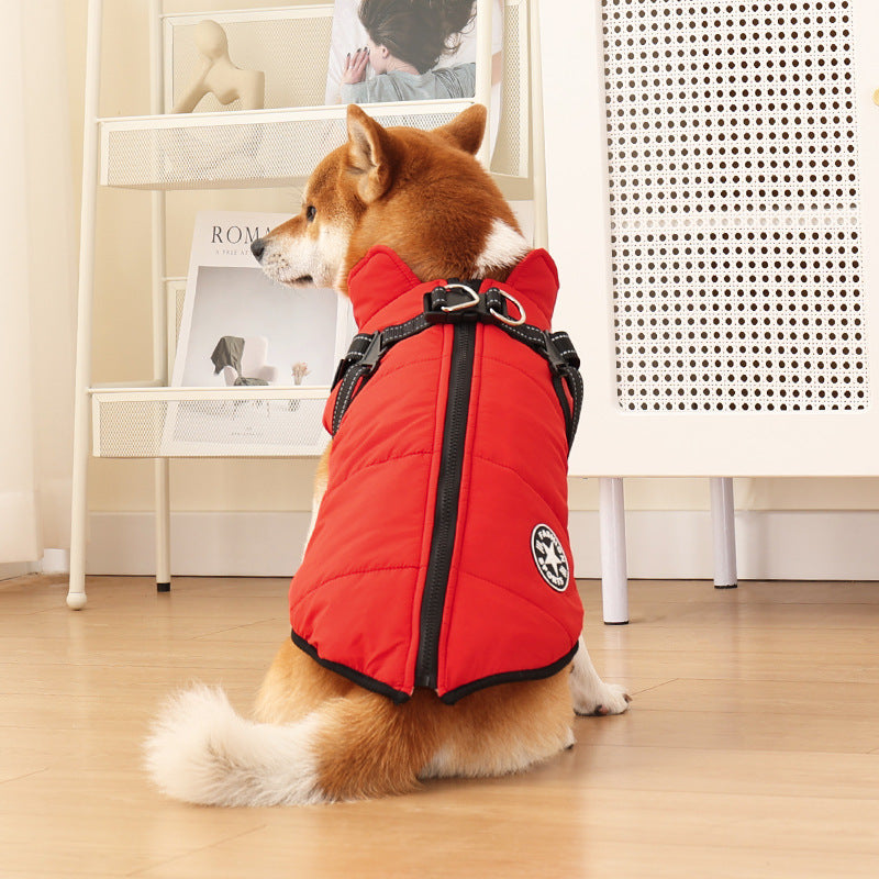 Wensy Winter-Hundejacke – Der perfekte Schutz für kalte Tage